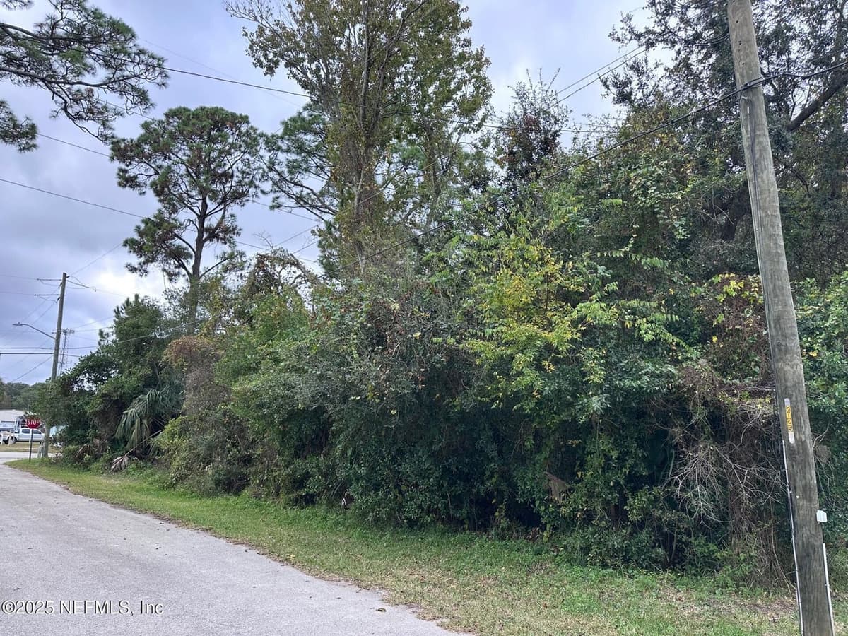 0 W DUTTON ISLAND Road, Atlantic Beach, FL 32233, Atlantic Beach, FL - photo 3