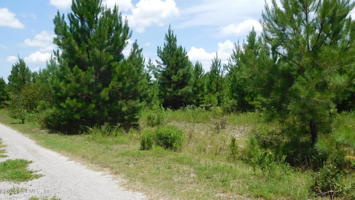 56585 DAVIS Road, Callahan, FL 32011, Callahan, FL - photo 2