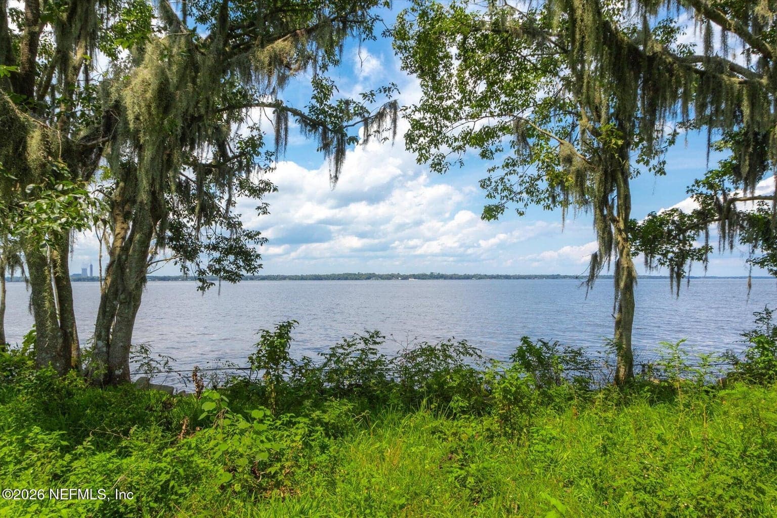 TBD MILLION Street, East Palatka, FL 32131